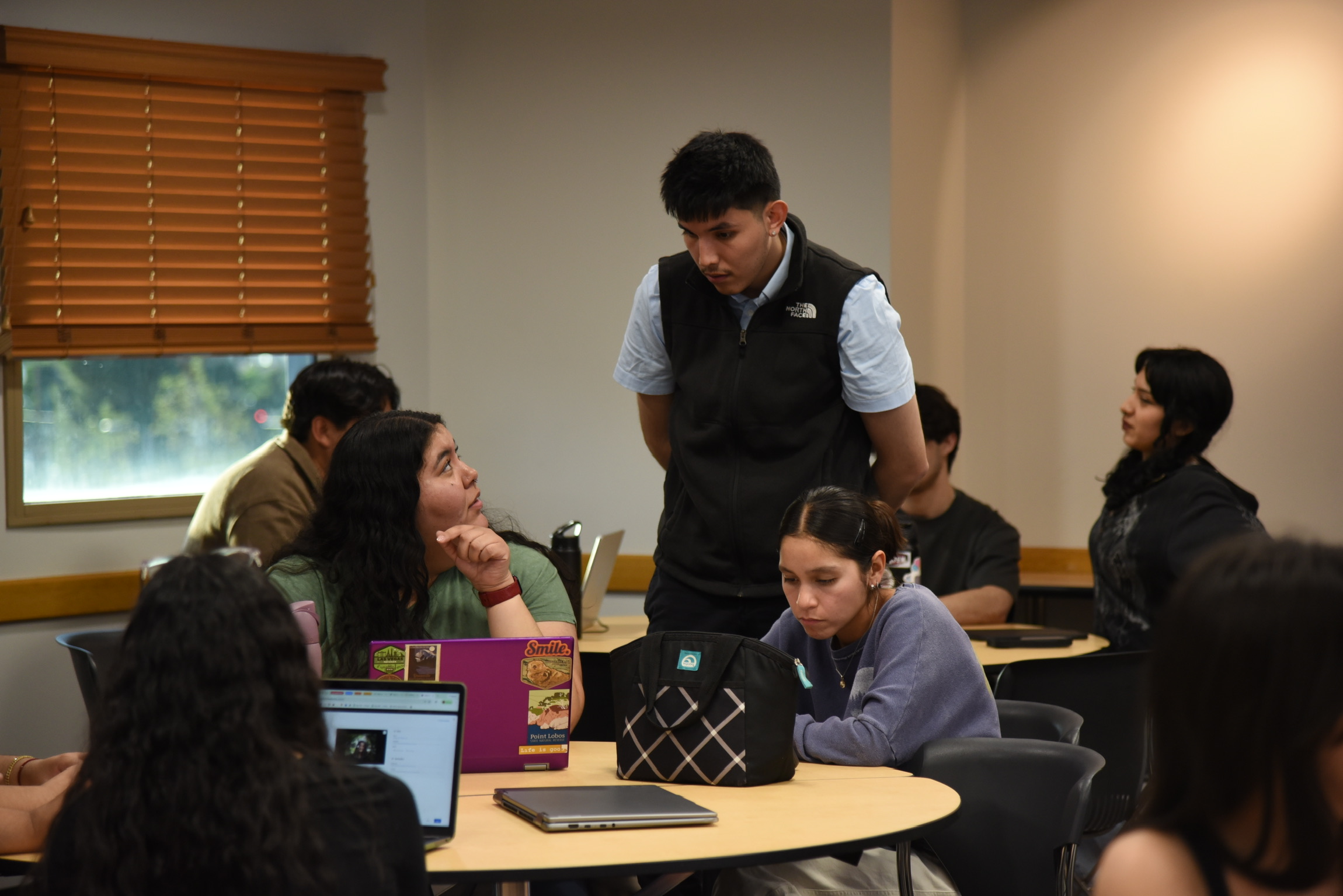 Mentorship opportunities